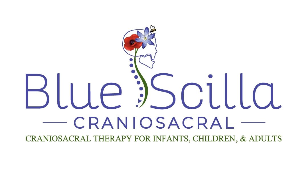 Blue Scilla CranioSacral